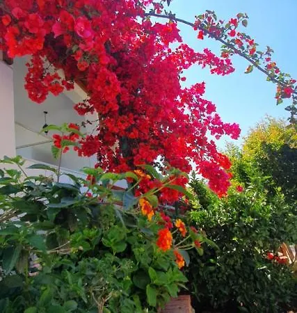 Xheko 3* Dhermi